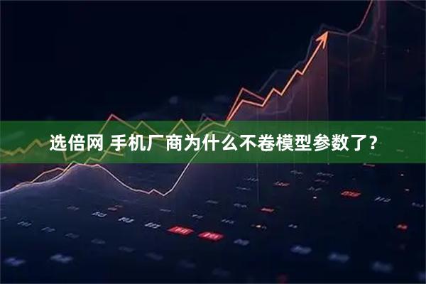 选倍网 手机厂商为什么不卷模型参数了？