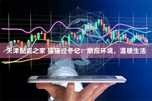天津配资之家 猫猫过冬记：顺应环境，温暖生活