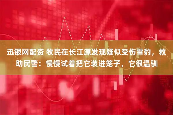 迅银网配资 牧民在长江源发现疑似受伤雪豹，救助民警：慢慢试着把它装进笼子，它很温驯